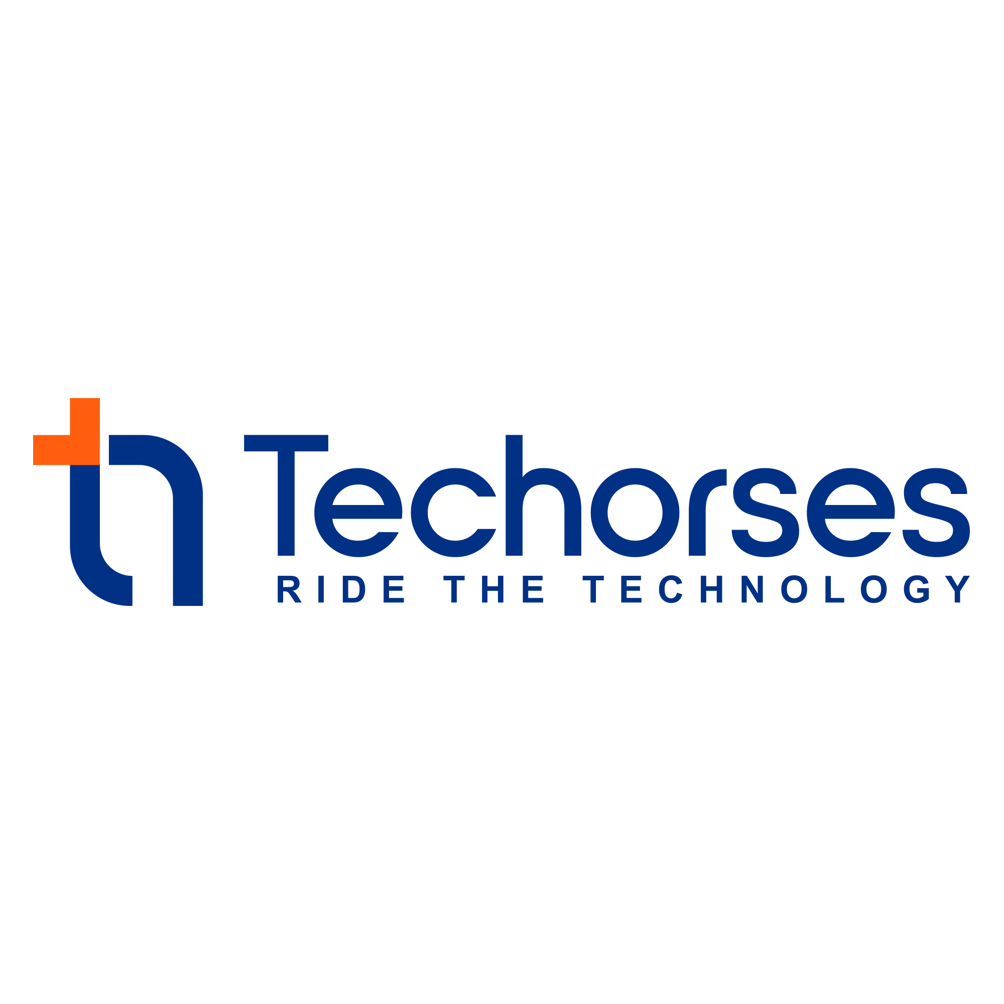 Techorses Logo